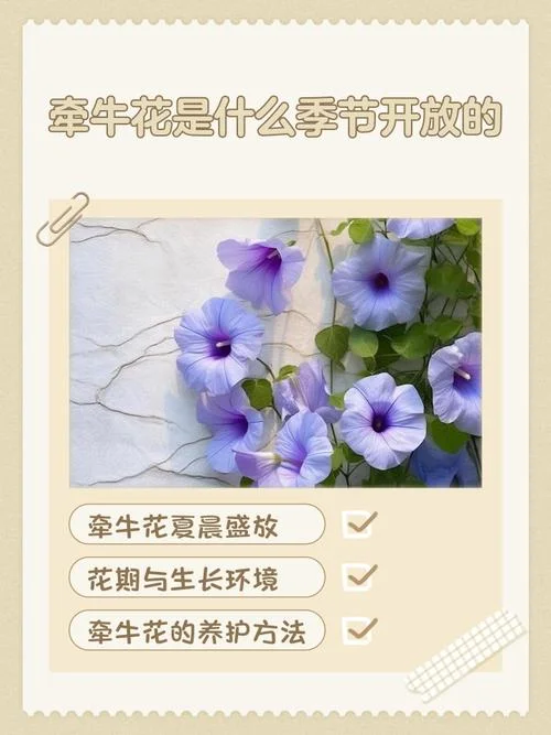花几月份开-花开几月