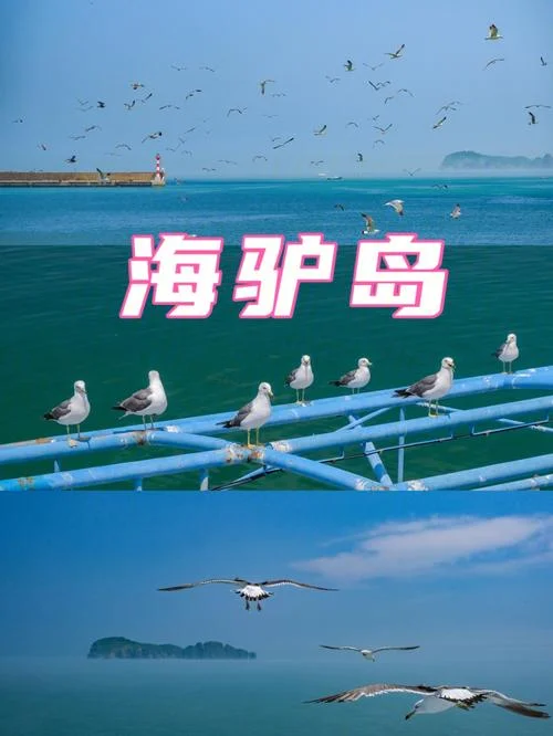 山东海驴岛旅游景点_2