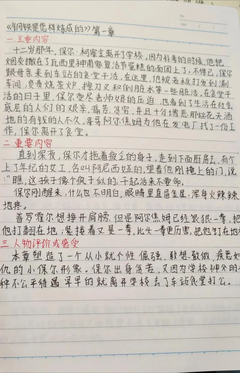 钢铁是怎样炼成的第17章感悟_1