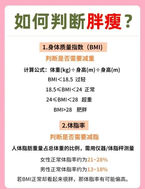 肥胖指数公式_1