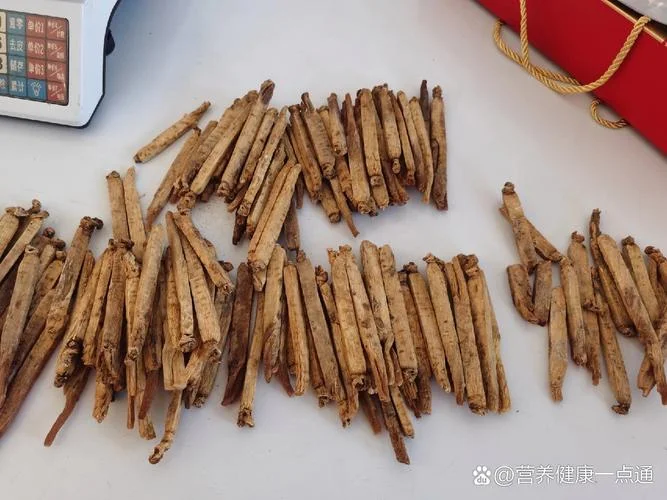 什么是别直参_1