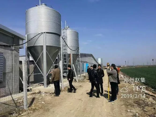 工程公司养猪怎么做账-工程公司养猪账务