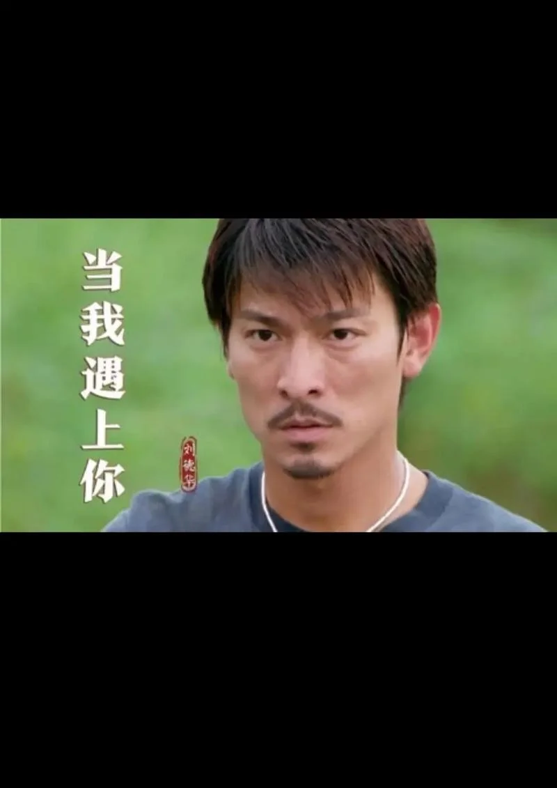 刘德华寻亲的那部电影叫什么-刘德华寻亲电影名