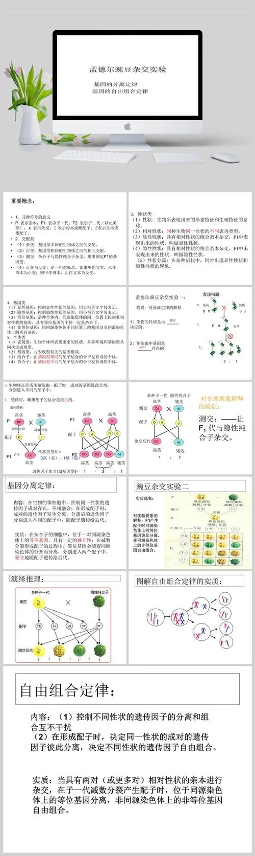 分离定理图解读-分离定理图解读