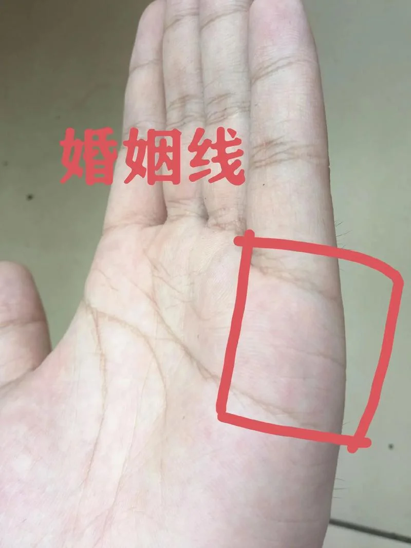 女人两次婚姻的手相图_1