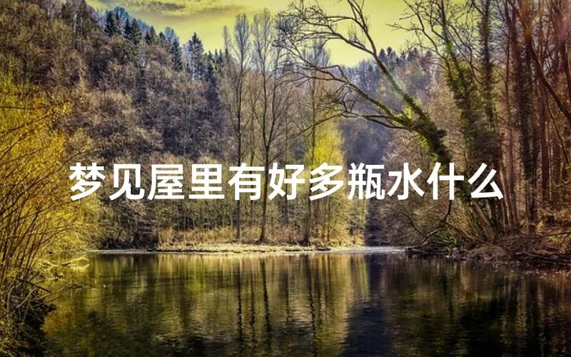 梦见水进家里是什么意思_2