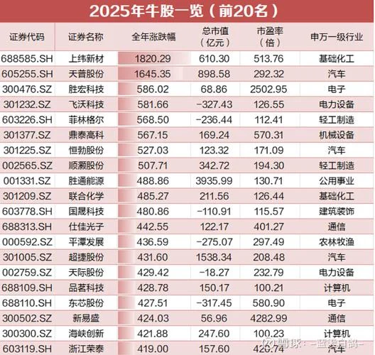 油气板块史上牛股_2