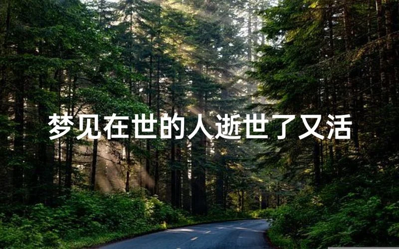 做梦梦到人死了又活过来了_2