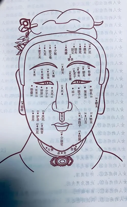 算命怎么看面相_1