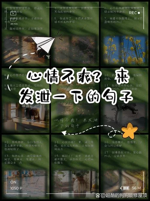 自己的心情说说_1