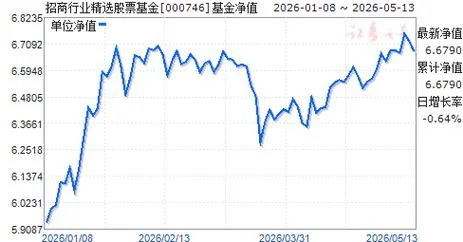 什么是股票型基金净值_1