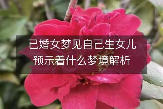 梦见女朋友生了个女儿_1