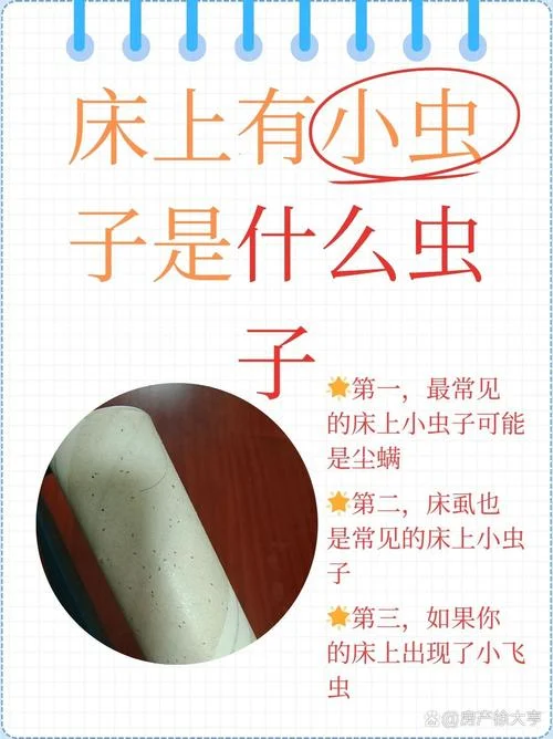 梦见床上有虫子掉下来_1