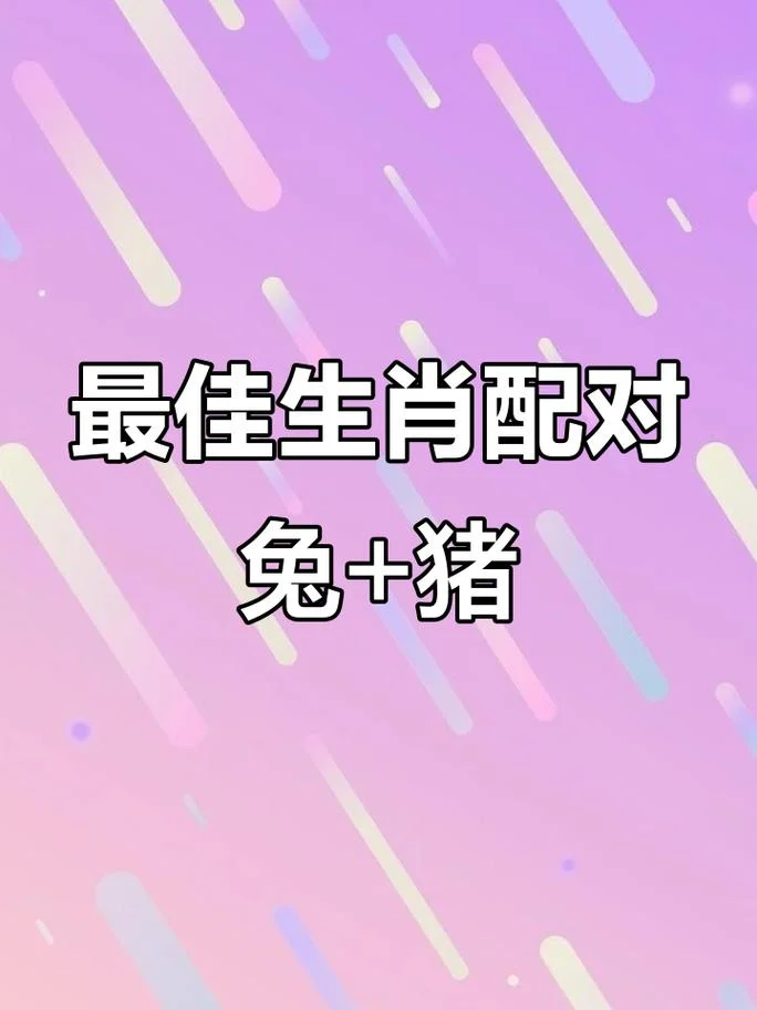 猪年属兔今年运势_2