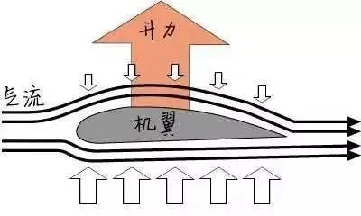 伯努利定理英文解释_1