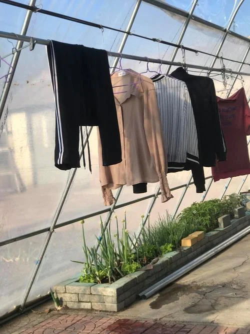 女人梦见收晒干的衣服_1