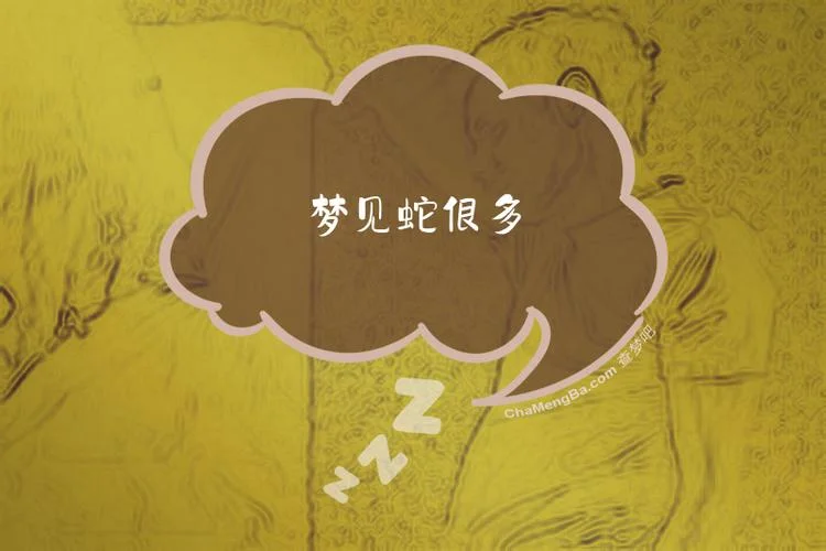 梦到大量蛇_1