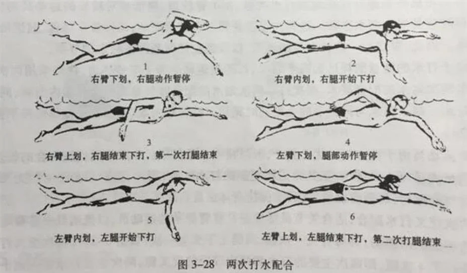怎么学游泳教程视频-游泳学习视频教程