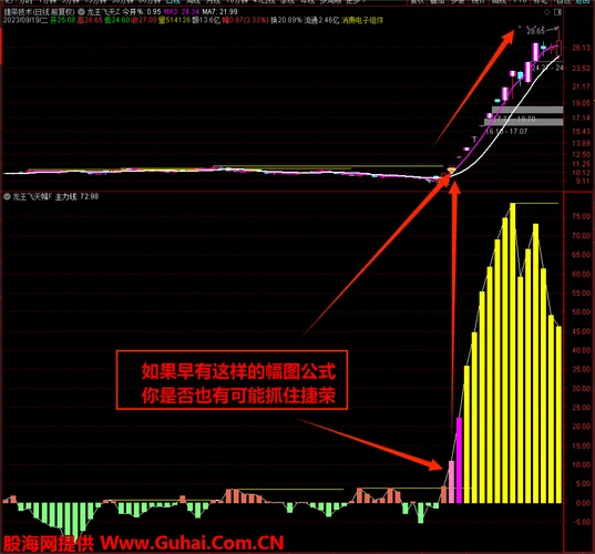 龙回首选股公式_1
