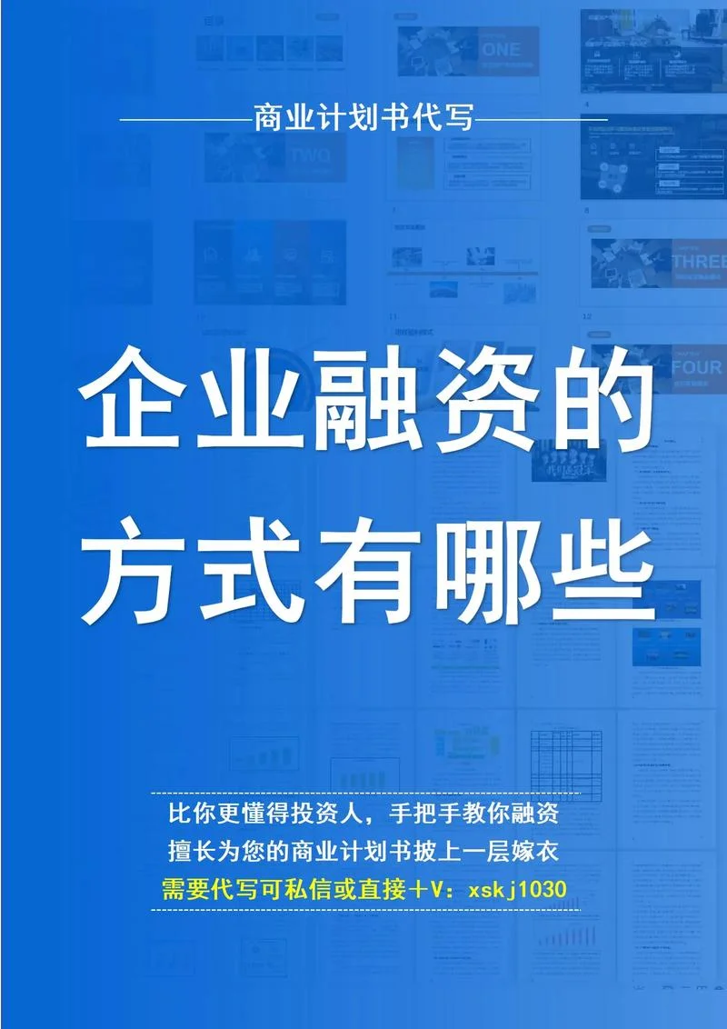 农业项目融资_1