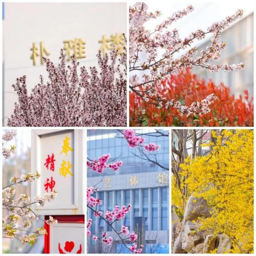日照一中东校区哪年建_1