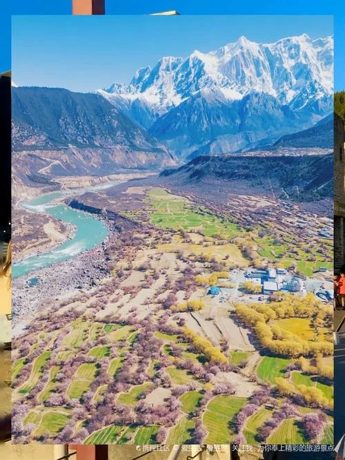 旅游攻略林芝-林芝旅游攻略