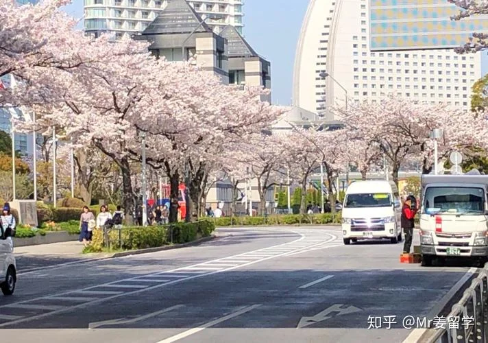 北京中枢留学中介-北京中枢留学中介