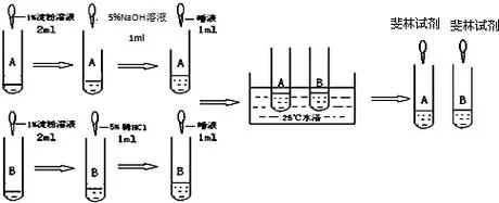 探究影响酶活性的条件_1