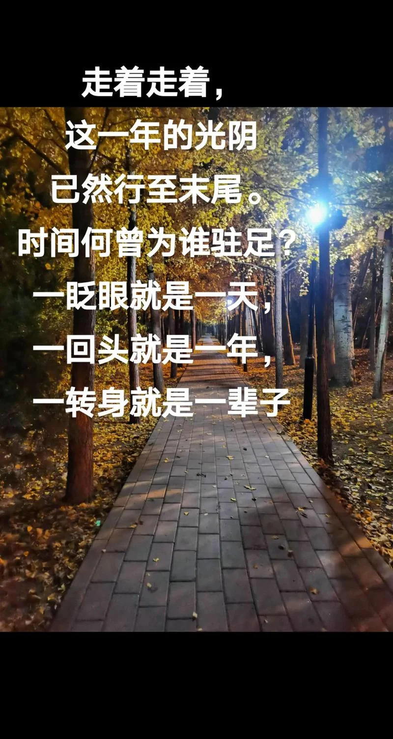 最是光阴留不住下一句-光阴留不住下一句