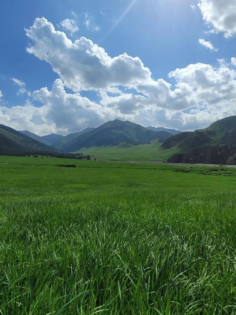 甘肃草原旅游景点_1