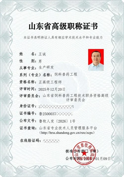 任职资格证书怎么查询-查询任职资格证书