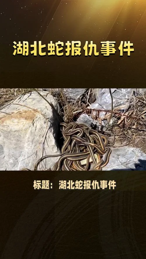 梦见蛇报仇_2
