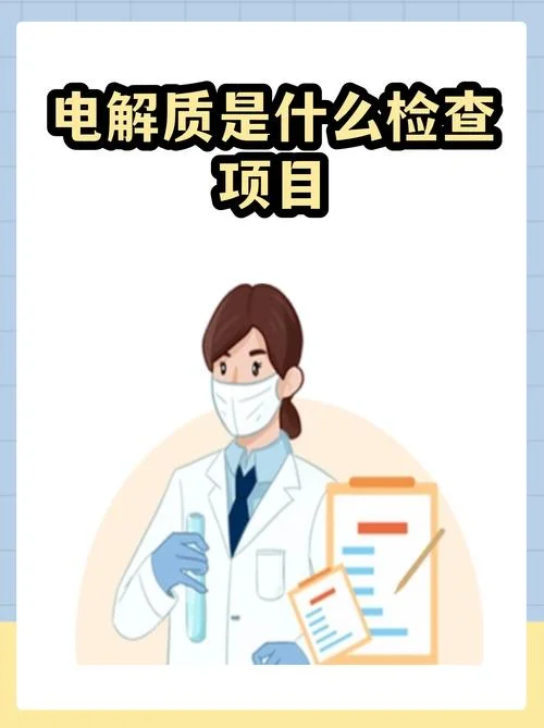化验电解质需要多少钱_1