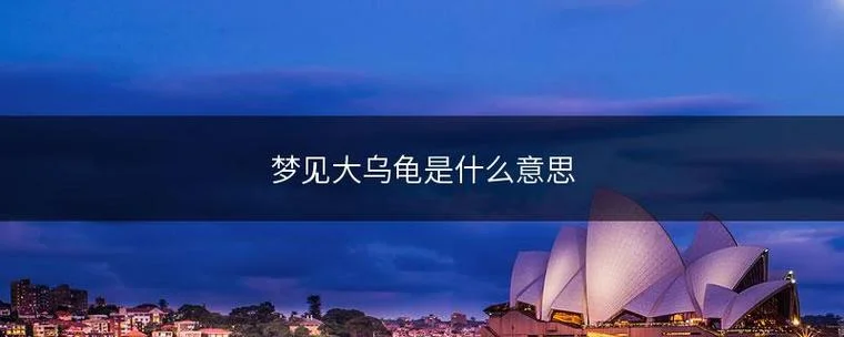 梦见打死乌龟_1