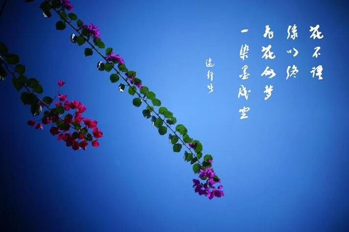 自在轻花飞似梦的下一句-轻花飞似梦寻