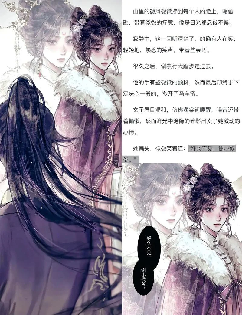 沈娇娇谢景行那个小说叫什么名字_1