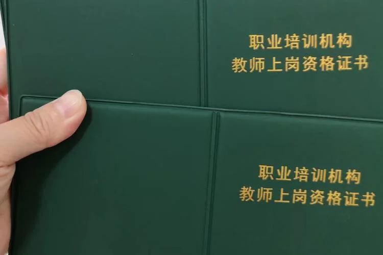 教师资格证证书号查询-查询教师资格证证书号