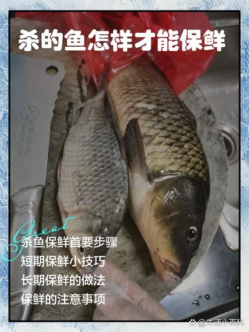 梦见杀鱼是什么意思有什么预兆_1