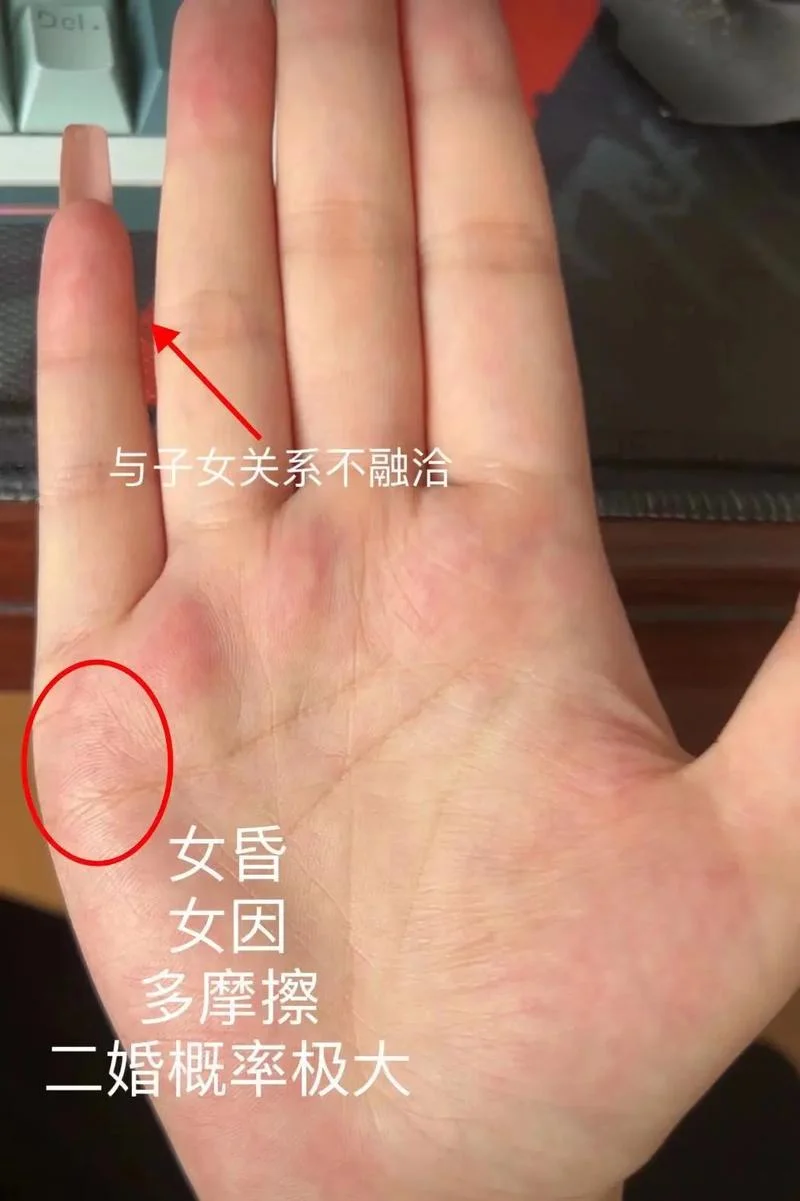 女人手相大全-女人手相大全