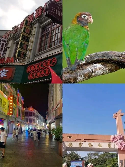 民族大道是哪个区-民族大道属哪个区