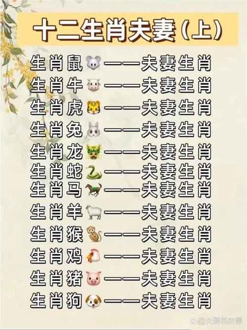 猪与什么属相最配对_1