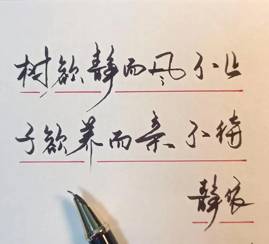 风欲静而风不止的下一句_1