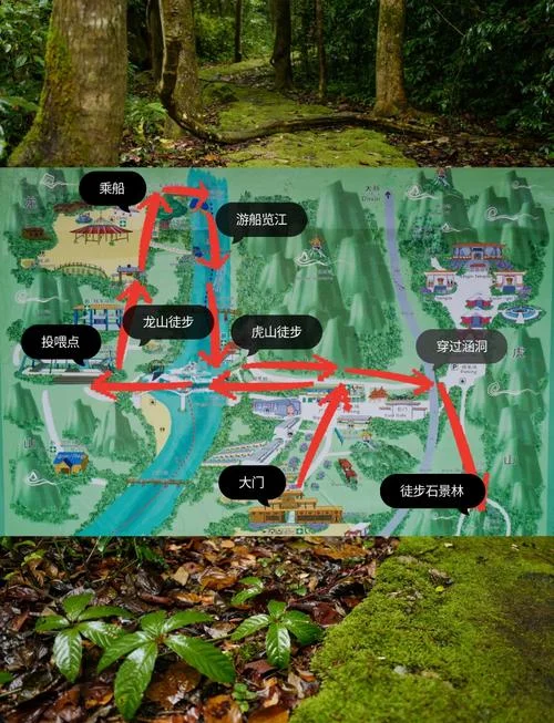 龙虎山景点介绍-龙虎山景点概览