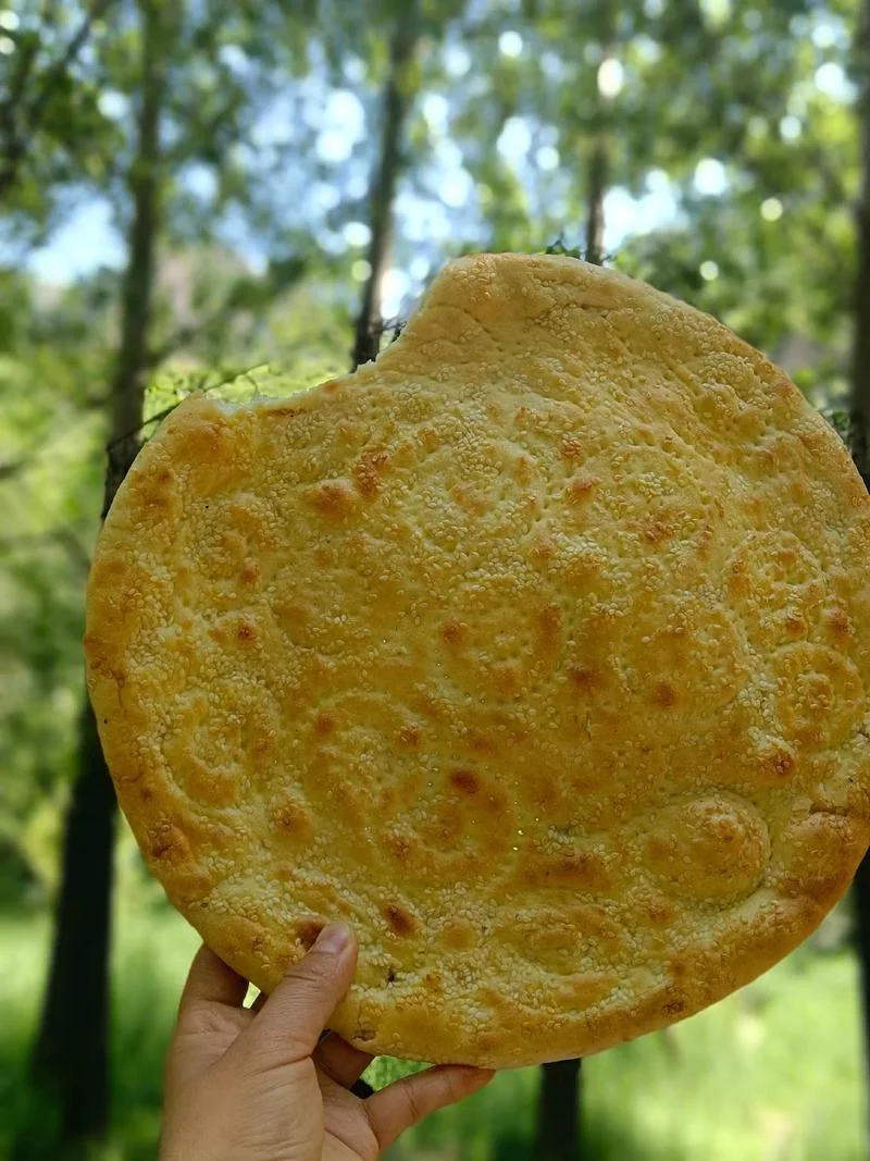 做梦梦到吃大饼_1