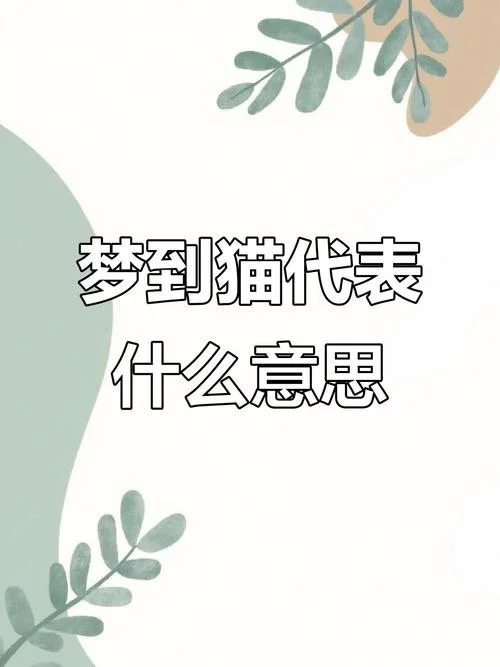 梦见猫拦路_2