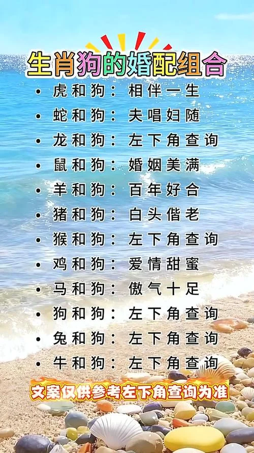 狗和什么属相配_2