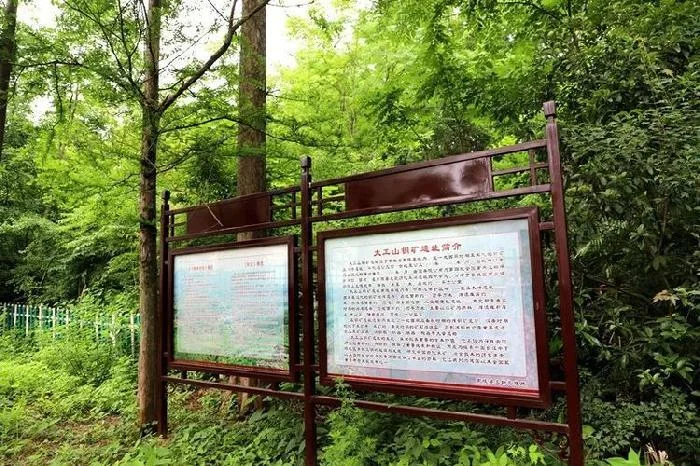 戴山在哪个省-