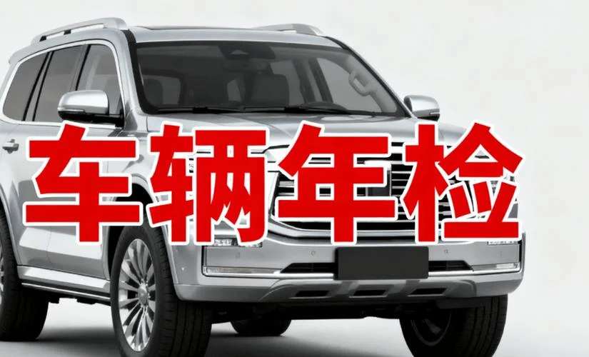 年检状态_2