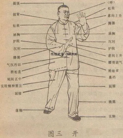 怎么学元武道-如何正确学元武道