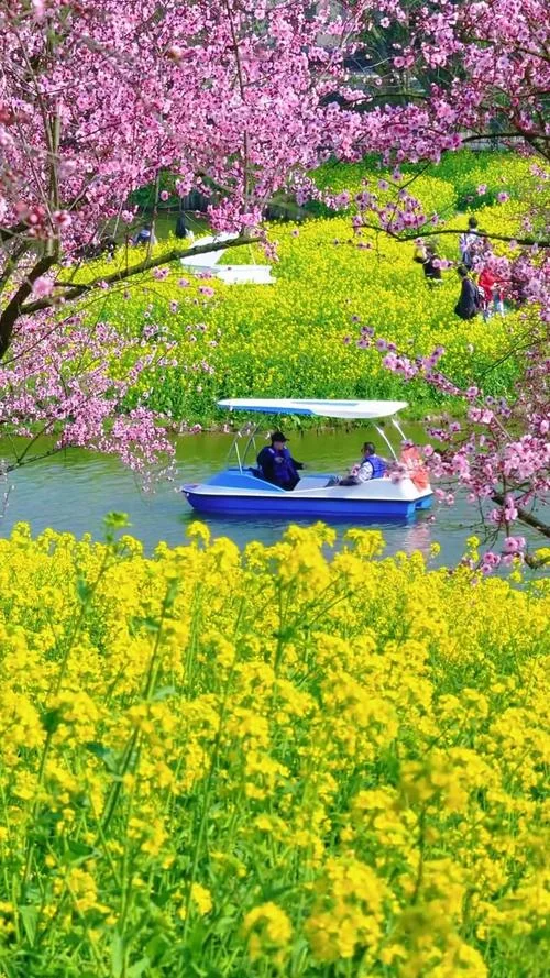 天坪山在哪里_1